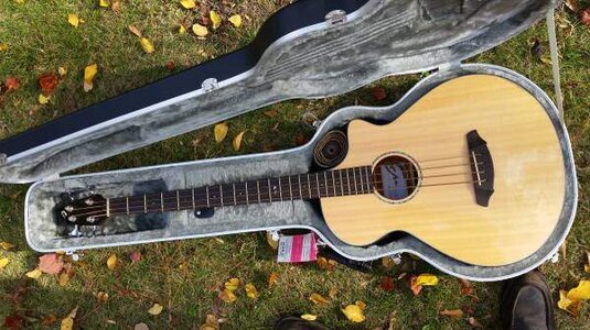 Breedlove Studio BJ350 Sme4