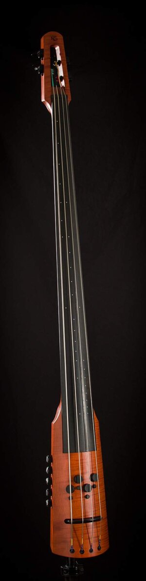 NS CR4M Electric Upright Bass - price drop