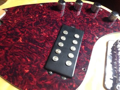 OLP Tony Levin Stingray 5 pickup, knobs, pickguard