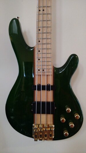 Winter Custom Bass