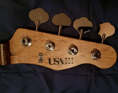 USACG Fretless Neck loaded