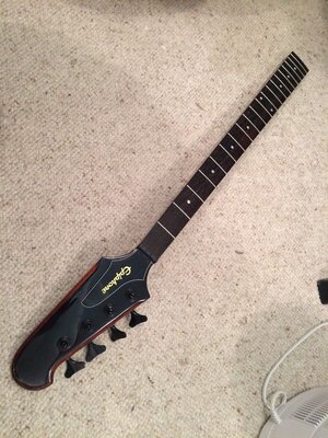 Epi Thunderbird neck