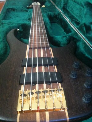 Peavey Cirrus 6 Lined Fretless Wenge Top (Pictures included of exact model I'm seeking)