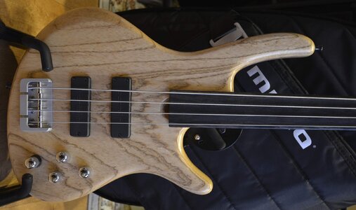 Roscoe Century Standard 4 Fretless