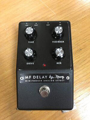 Moog MF Delay (ISO delay or reverb, maybe fuzz/dirt?)