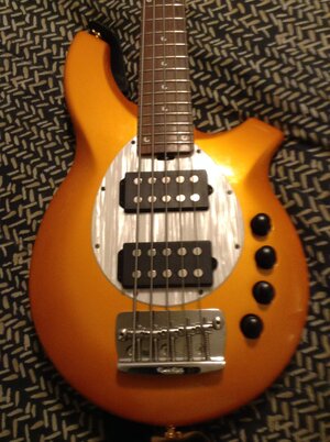 Musicman Bongo 5