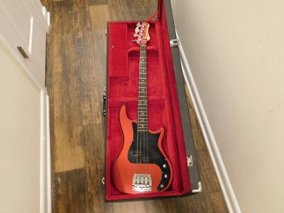 Ovation Ultra Bass [Kahler Tremolo Bridge + Bar]