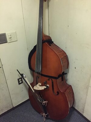 3/4 Plywood Bass