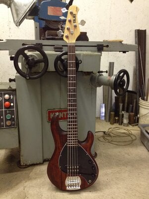 Sterling by Music Man 5 String Bass - Walnut NEW