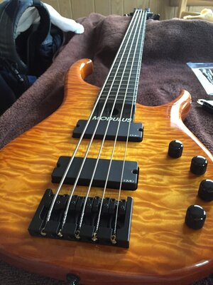 Modulus Q5 for Modulus Q5 (NON-burst finish, w/truss rod)