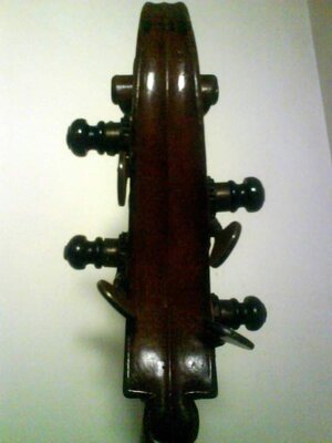 bass scroll 2.jpg