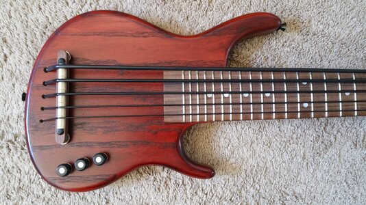 Kala California Custom 5 String Ubass