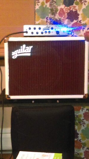 Aguilar Db 112 White Hot