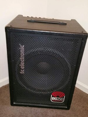 TC Electronic BG 250 1x15 Bass Combo