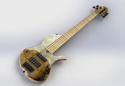 Final New Custom Bass Picture 04.JPG