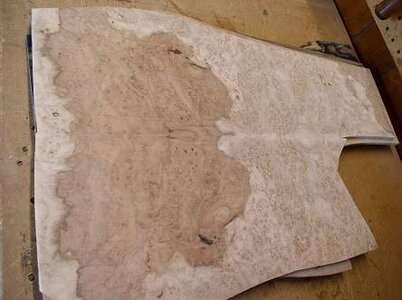 Cottonwood Burl Cut.JPG