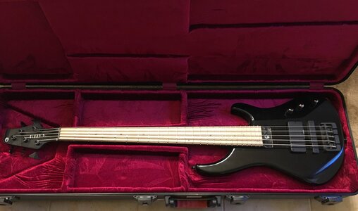 G. Gould GGI5 5-String Bass / Graphite Neck