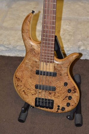 Elrick Gold Series 5 String 2007, Spalted Maple