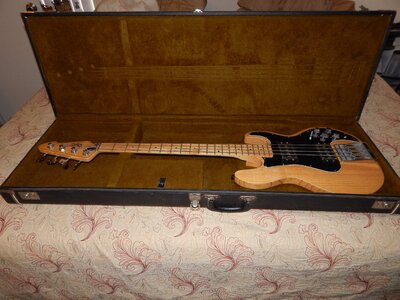 1979 Peavey T-40 with OHSC