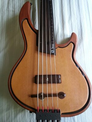 Leduc Ubass headless 5-string fretless