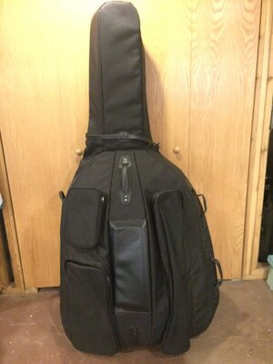 Reunion Blues Upright Bass gig bag