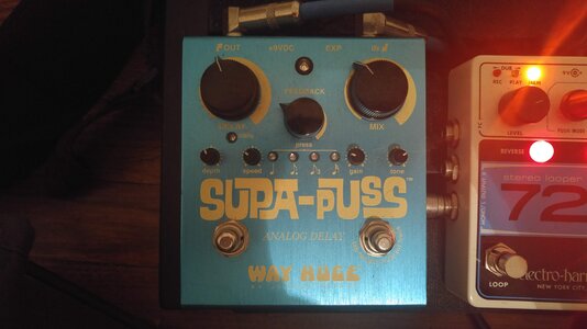 Way Huge Supa-Puss Analog Delay