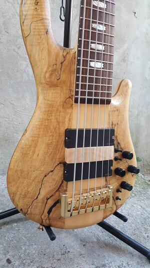 Spector Euro 6 LX Spalted Maple - Lots of upgrades!!!