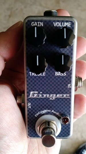 Dicosimo mini ROG Ginger (Ampeg in a 1590a pedal)