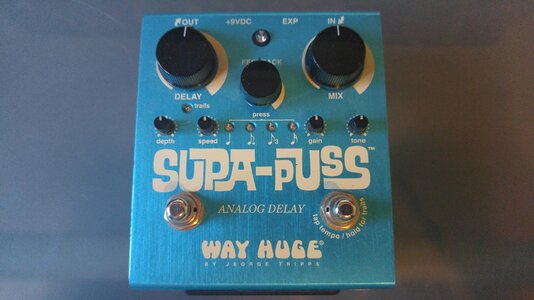 Way Huge Supa Puss Analog Delay Pedal