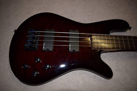 Spector Legend Classic Fretless