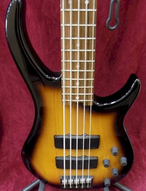 Peavey GV (5 String Modulus + Cirrus)