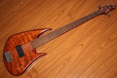 Bee Bass Evolution 5 Strings Custom Bass Guitar