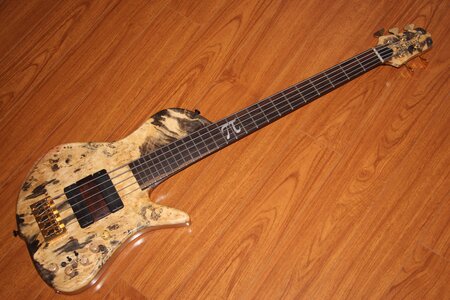 Custom RKM SC5 5 Strings Singlecut Bass. Buckeye Beauty!