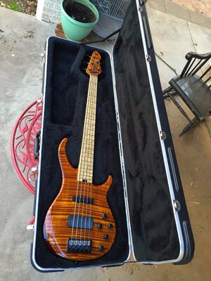 USA Peavey Millennium 5 Plus