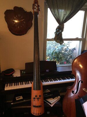 NS Design CR4M Electric Double Bass