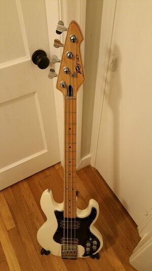 White Peavey T-40