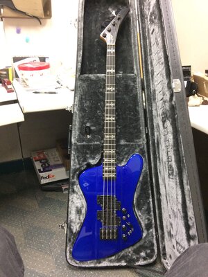 Custom Thunderbird Moser Circuit BCR'ish Bass