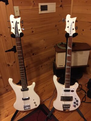 2 Rickenbacker Snowglos