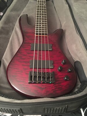 Spector Legend 5 Classic w/hardshell case & upgrades