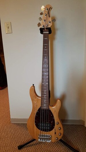 Ernie Ball MusicMan Sterling 5 H