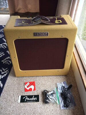 Fender Bassman TV Fifteen