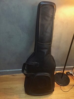 LOW END LEATHER DOUBLE GIG BAG