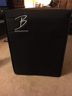 Bergantino NV115 w/Cover