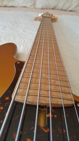 GOLD Low End Jazz Six  LEJ 6