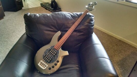 Ernie Ball Music Man Bongo HH Fretless 4