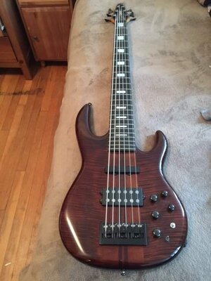 Beautiful Carvin 6 string bass