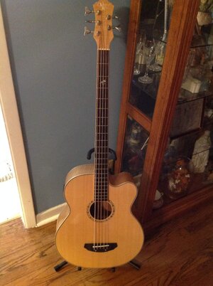 Michael Kelly acoustic 5.    Big price drop