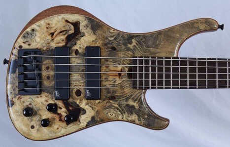 "Brand New" 2017 Roscoe LG Standard Plus 5 Buckeye Burl Limited Edition! Weekend Sale!!!