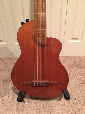 Rick Turner Renaissance RB-5 fretless