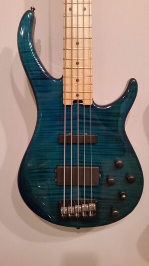 Peavey Millennium Plus 5 USA- Peacock Blue